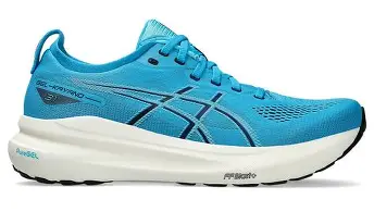 Gel Kayano 31 Specs, Features, and Value: Is it worth the price tag?